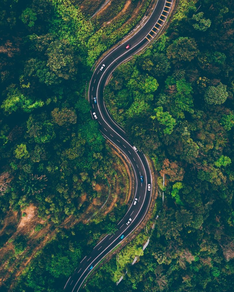 top view of cars on road surrounded by trees