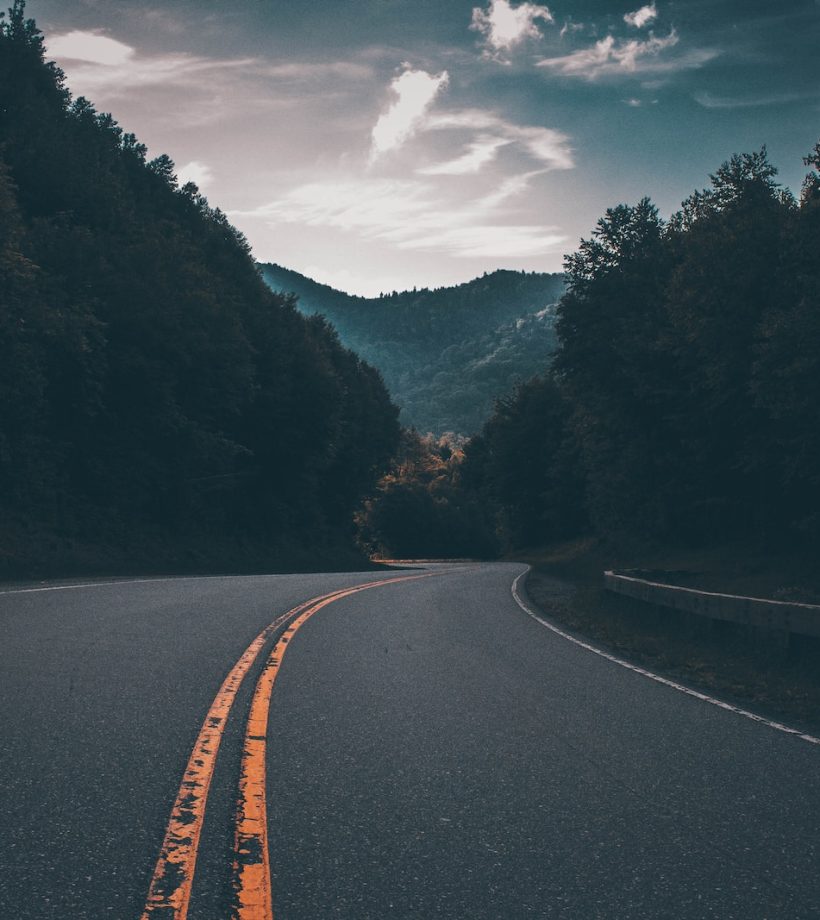 gray concrete road between trees